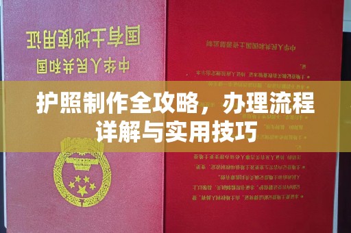 平陆护照制作全攻略，办理流程详解与实用技巧