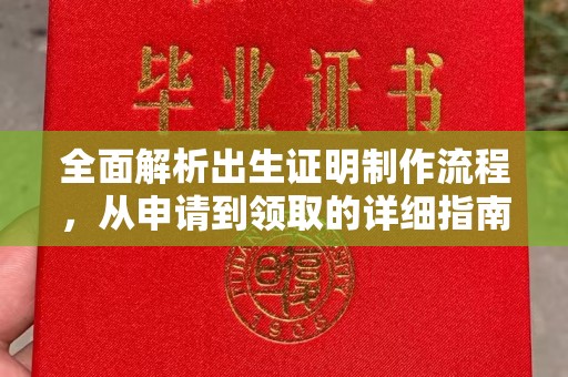 平陆全面解析出生证明制作流程，从申请到领取的详细指南