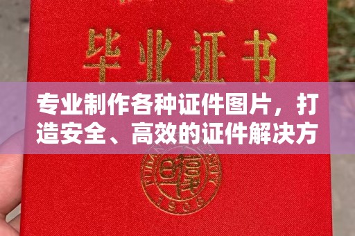 平陆专业制作各种证件图片，打造安全、高效的证件解决方案