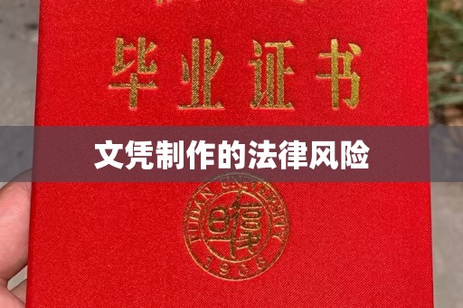 平陆文凭制作的法律风险