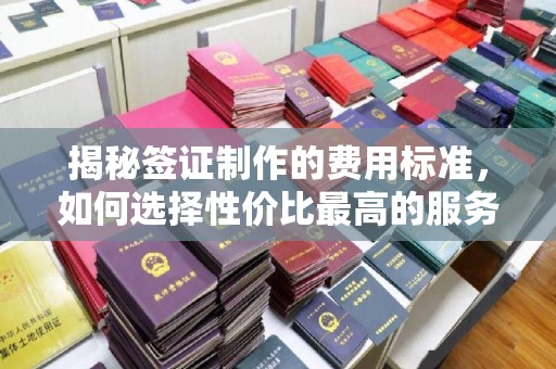 平陆揭秘签证制作的费用标准，如何选择性价比最高的服务？