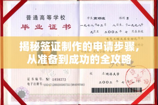 平陆揭秘签证制作的申请步骤，从准备到成功的全攻略