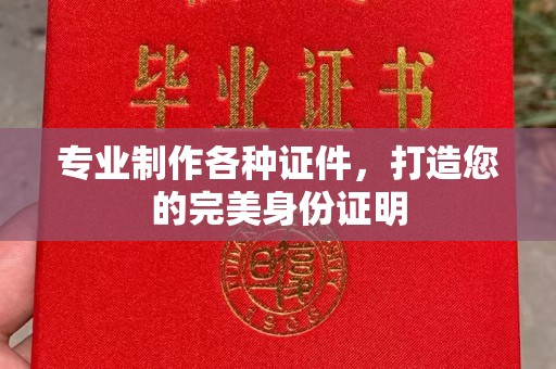 平陆专业制作各种证件，打造您的完美身份证明