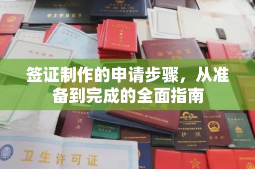 平陆签证制作的申请步骤，从准备到完成的全面指南