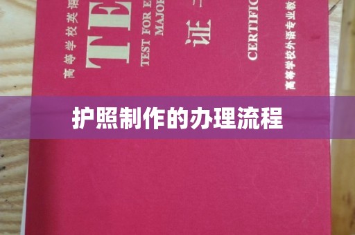 平陆护照制作的办理流程