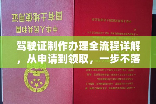 平陆驾驶证制作办理全流程详解，从申请到领取，一步不落