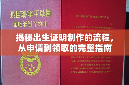 平陆揭秘出生证明制作的流程，从申请到领取的完整指南